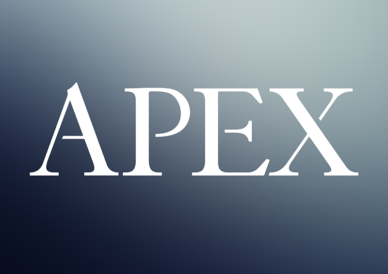 Apex Logotype Design