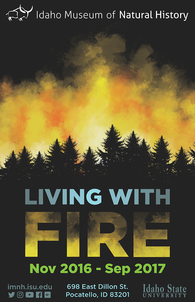 Living With Fire Poster