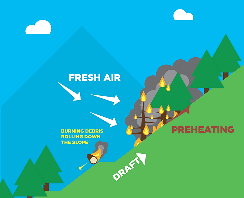 Wildifre Hill Behavior Infographic