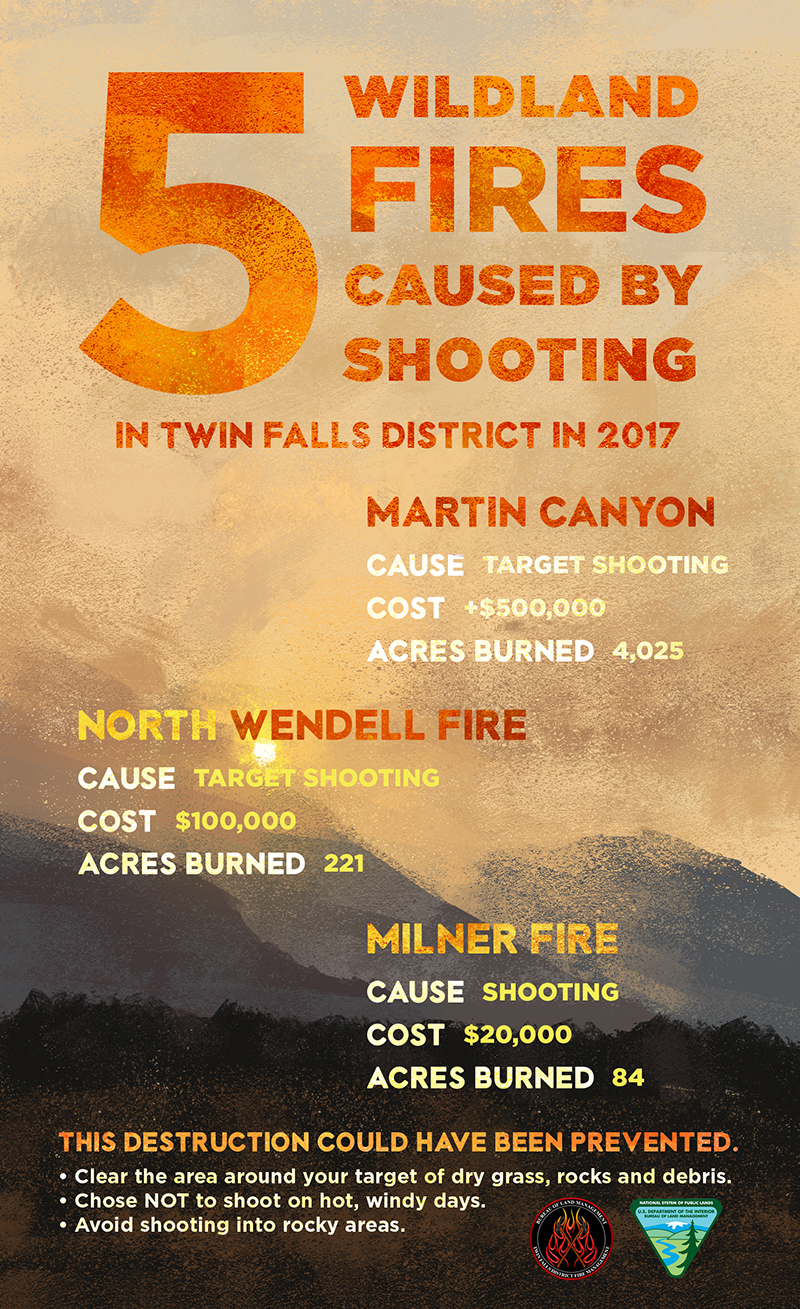 Shooting Fires Poster