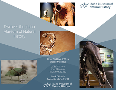 Idaho Museum of Natural History Brochure