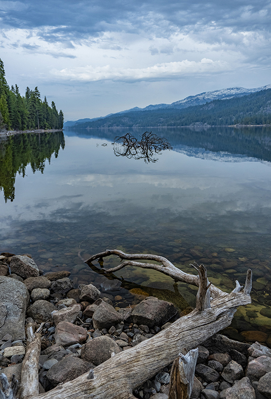 Payette Lake Dead Tree